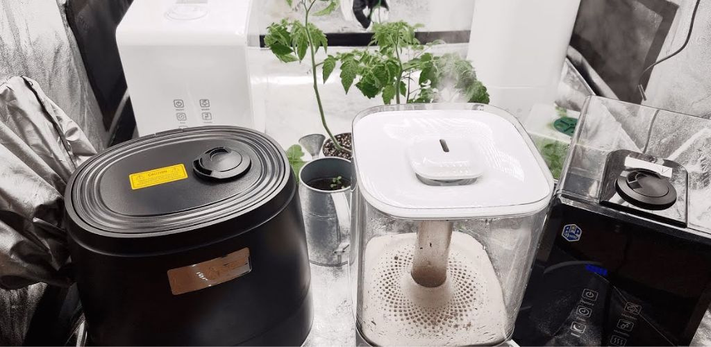 jakie wybrac nawilzacze powietrza w uprawie marihuany