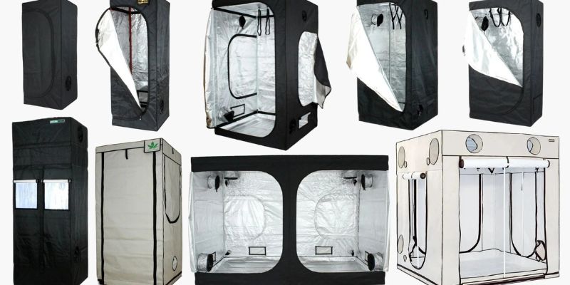 jaki rodzaj growboxa wybrać do uprawy marihuany