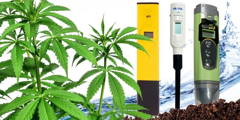 mierniki w uprawie marihuany