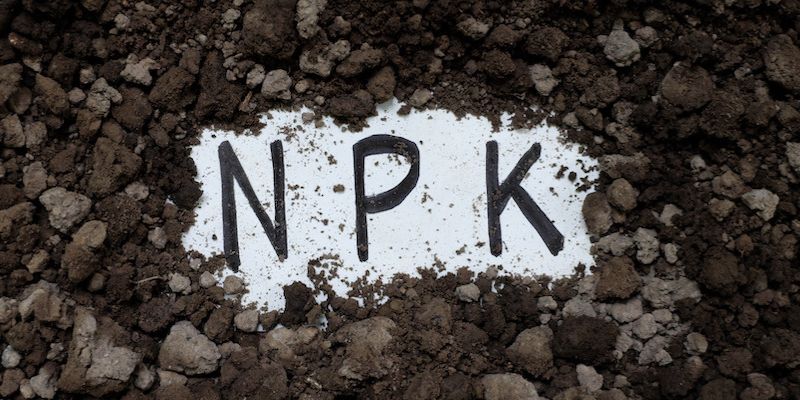 składniki odżywcze w uprawie marihuany