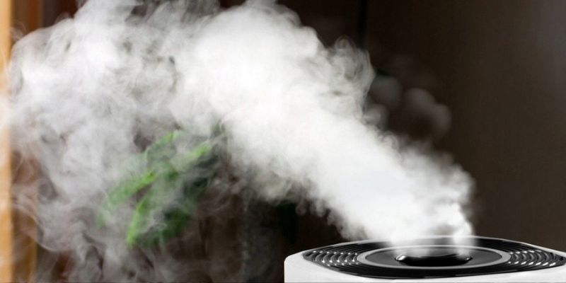 Nawilżacze i Osuszacze Powietrza do marihuany