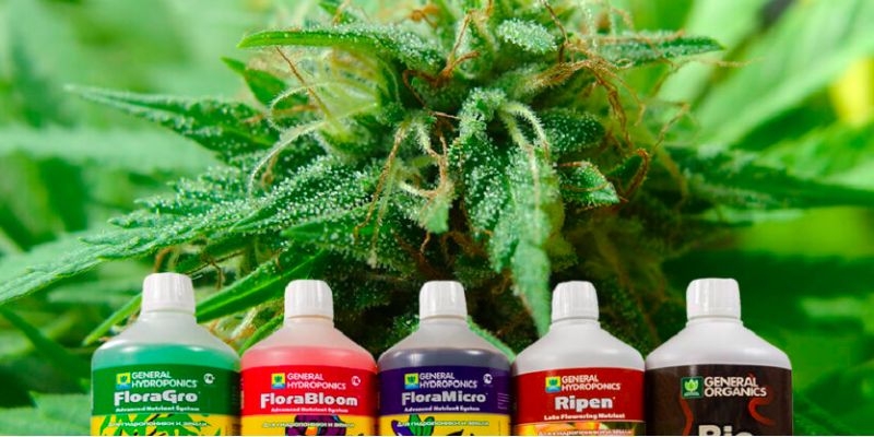 Składniki Odżywcze do konopi